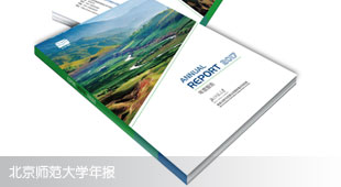 北京师范大学年度报告设计