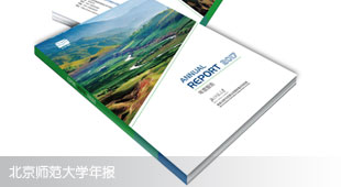 北京师范大学年度报告设计