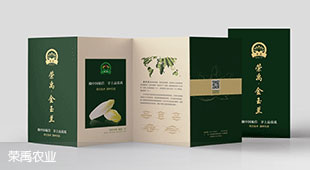 金玉兰菊苣折页设计
